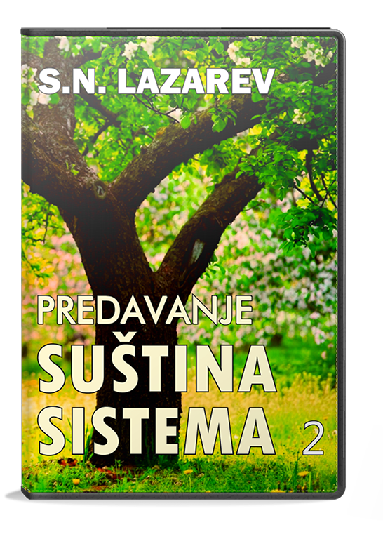 1654539986SN Lazarev - Suština sistema 2.png